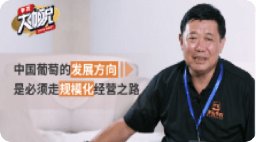 中国普通的发展方向 是必须走规模化经营之路