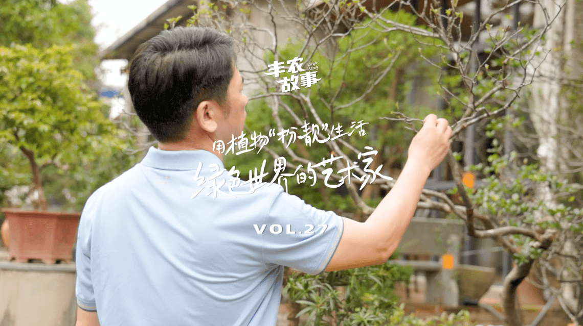 17年，他用一草一木去点亮了一个个家。