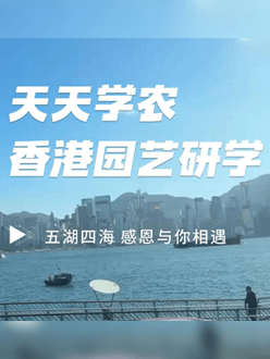 与香港园艺学会联合举办香港园艺研学，专业园境师带队讲解。