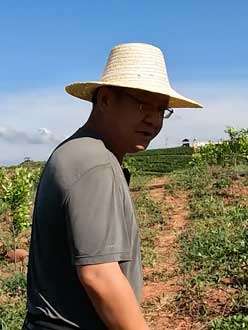 农业人叶涛，50多岁通讯人跨界搞农业，他要用1000万打造一个梦。